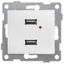 Розетка USB Bravo, механизм, двойной, белый - С10USB2-001 GUSI