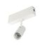 Светильник CLIP-38-SPOT-R146-6W Warm3000 (WH, 24 deg, 24V) (Arlight, IP40 Металл, 3 года) - 028939