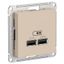 Розетка USB AtlasDesign тип A+A 5В/2.1А 2х5В/1.05А механизм песочн. SE ATN001233 APC