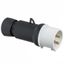 Вилка кабельная 32А 3PE 480-500В винт. IP44 SchE PKE32M444 Schneider Electric