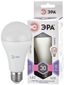 Лампа светодиодная LED 30 Вт 2400Лм 6000К груша холодный E27 170-265В A65-30W-860-E27 Standart - Б0048017 ЭРА