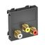 Мультимедийная рамка Audio-Video Modul45 (черный) (MTG-12R F SWGR1) | 6105189 OBO Bettermann