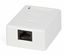 Розетка компьютерная 1-м ОП SB1-1-8P8C-C5e-SH-WH RJ45 (8P8C) кат.5E экранир. Dual IDC Hyperline 430229