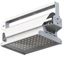 Светильник светодиодный "Эверикс" LED-120-Г60.4-IP66-У1(1/LIRA/840/RAL7035/TG/AC230/D/DALI/G1) GALAD 24387