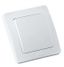 Выключатель скрытой установки, одноклавишный, с самовозвратом, цвет белый | ВС10-331 HEGEL
