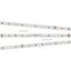 Лента светодиодная RT 2-5000 24V White 6000К 0.5х(3528 150 LED LUX) 2.9Вт/м IP20 (уп.5м) Arlight 019917