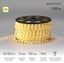 Шнур светодиодный Дюралайт фиксинг 2Вт 30LED/м тепл. бел. (уп.100м) Neon-Night 121-126-6