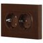 Розетка однофазная двойная скрытого монтажа, в рамку с заземлением без шторок венге 16А 250В IP20 винтовые зажимы 6-205-10 Intro Accent - Б0063502 ЭРА