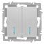 Выключатель двухклавишный, в рамку (скрытого монтажа) с подсветкой белый 10А 250В винтовые зажимы Intro Accent 6-105-03 - Б0063511 ЭРА