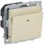 Выключатель карточный BRITE 30А ВС10-1-8-БрКр механизм беж. IEK BR-V11-0-10-K10
