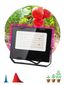 Прожектор светодиодный для растений FITO-50W-RB-LED 50Вт IP65 цветения и плодоношения красно-синего спектра ЭРА Б0046368