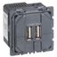 Механизм розетки USB СП Celiane 2мод. Leg 067462 Legrand