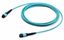 Патч-корд FHD-MC3-503-MPOF12/PS-MPOF12/PS-B-5M-LSZH-AQ волоконно-оптический MPO (мама)-MPO (мама) тип B 12 волокон 50/125 (OM3) 40/100G LSZH 5м Hyperline 358626