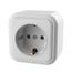 Розетка 1-м ОП Викинг с заземл. бел. БЕЛТИЗ RA16-133-Б Bylectrica