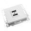 Зарядное устройство / USB-розетка (механизм), серия Катрин, GLS10-7115-01, белый | 39686 STEKKER FERON