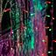 Гирлянда профессиональная Светодиодный Дождь 2х2м свечение с динамикой прозрачный провод 220В RGB - 235-349 NEON-NIGHT