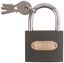 Замок навесной железный 60х48мм стальная дужка 75мм FIT 67163 РОС