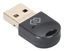 Адаптер USB D-BT502 Bluetooth 5.0+EDR class 1.5 20м черн. Digma 1431084