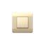 Переключатель перекрестный 1-клавишный, 10А, шампань(NEW3-E) | 431384 CHINT