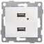 Механизм розетки USB 2-местн. СП Bravo жемчуж. GUSI С10USB2-028