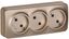 Розетка 3-м ОП GLORY РС23-2-ХШм 10А без заземл. защ. шторок шампань матов. IEK ERH30-K37M-10