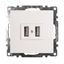 Зарядное устройство / USB-розетка (механизм), серия Катрин, GLS10-7115-01, белый | 39686 STEKKER FERON