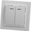 Выключатель 2-клавишный с индикатором, серия Эрна, белый, - PSW10-9002-01 FERON 39042