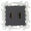 Коннектор 2хUSB, графит - 2411090-038 Simon