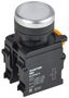 Кнопка d=22мм 1NO+1NC белая MASTER | MI-BT60-11-3-22-K01 IEK