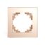 Рамка 1-местная, серия Катрин, GFR00-7001-02, шампань | 39527 STEKKER FERON