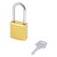 Замок безопасности навесной BD-A02S Yellow A - 10949 ПТК