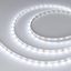 Лента светодиодная RT-A60-8mm 12V White 6000К 2Вт/м IP20 2835 (уп.50м) Arlight 029752(3)