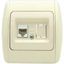 ZIRVE крем/крем розетка комп.CAT6+гнездо|501-000303-247| EL-BI ABB