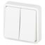 Выключатель двухклавишный скрытого монтажа IP55 белый 10А 250В винтовые зажимы ЭРА Эксперт 11-1524-01 - Б0063271