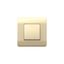 Переключатель 1-клавишный с подсветкой, 10А, шампань(NEW3-E) | 431394 CHINT