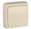Выключатель одноклавишный наружный с изоляционной пластиной слоновая кость 10А - ВА10-113-01 HEGEL