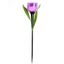 Светодиодный садовый светильник на солнечной батарее СОЛАР USL-C-453/PT305 PURPLE TULIP - UL-00004278 Uniel