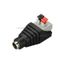 Коннектор ARL-MONO-2pin-F (Jack 5.5) (arlight, -) | 030748 Arlight