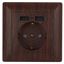 Розетка однофазная скрытого монтажа, в рамку с заземлением со шторками венге 16А 250В IP20 4-410-10 Intro Solo - Б0053719 ЭРА
