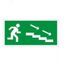 Пиктограмма "По лестнице вниз направо" ПЭУ 004 135х260 SIRAH IP65 СТ 2502002620 Световые Технологии