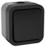 Выключатель двухполюсный одноклавишный TORS 10А IP55 графит - TS-V16-0-10-55-K53 IEK