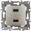 Устройство зарядное USB 12-4110-04 , 5В-2100мА, шампань (6/60/1920) |Б0027494 | ЭРА