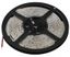 Лента светодиодная 14,4Вт/м 24В 4000К IP65 120LED/м LS2835-14,4-120-24-65-4000К-5m - Б0043101 ЭРА