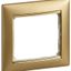Рамка 1-м Valena матов. зол. Leg 770301 Legrand