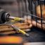 Бита для шуруповерта KRANZ Torx T25х50 мм (2 шт./уп.) |KR-92-0428-1 |