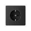 Розетка ArtGallery 16А с заземл. со шторками быстрозажим. клем. механизм карбон SE GAL001045S APC