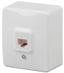 Розетка информационная 11-3203-01 RJ45, ОУ, Эксперт, белый (16/160/3200) |Б0020730 | ЭРА
