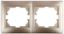 Рамка для розеток и выключателей 2 поста шампань пластик Intro Plano 1-502-04 - Б0030095 ЭРА