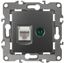 Розетка комбинированная RJ45+TV, Эра12, графит, 12-3110-12 - Б0027447
