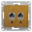 Розетка компьютерная 2-м Glossa RJ45 кат.5E механизм дерево дуб SE GSL000585KK APC